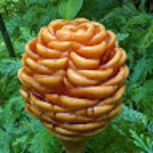 Meet your Posher, Edward